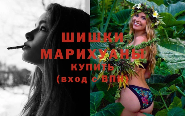 прущая мука Гусиноозёрск