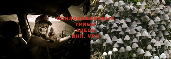 прущая мука Гусиноозёрск