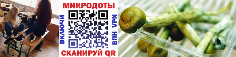 Галлюциногенные грибы Psilocybine cubensis  Купить где  Черняховск 